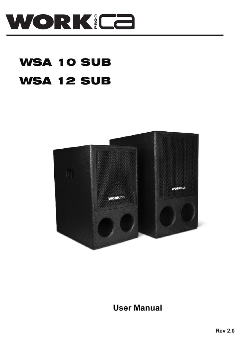 WorkproCA WSA 10 SUB User manual