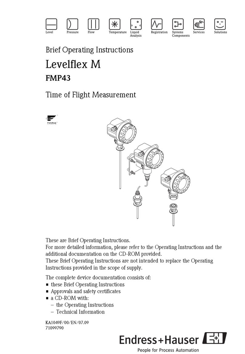 Endress+Hauser Levelflex M Technical specifications