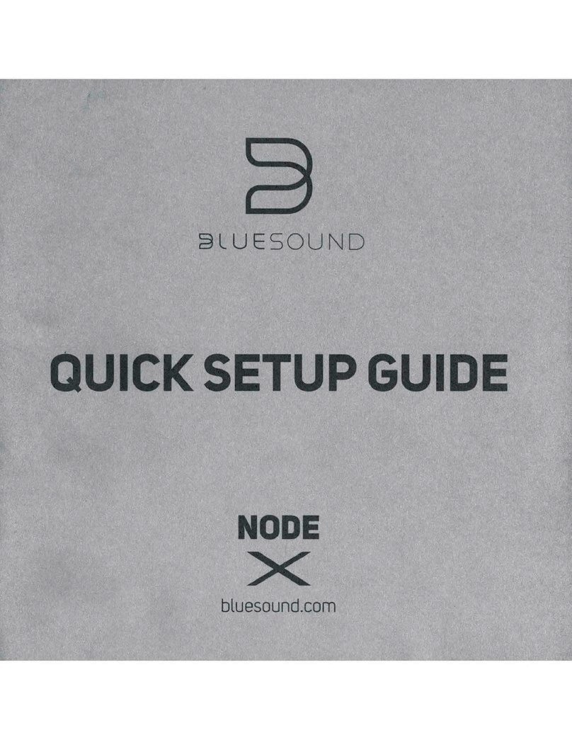 Bluesound NODE User manual