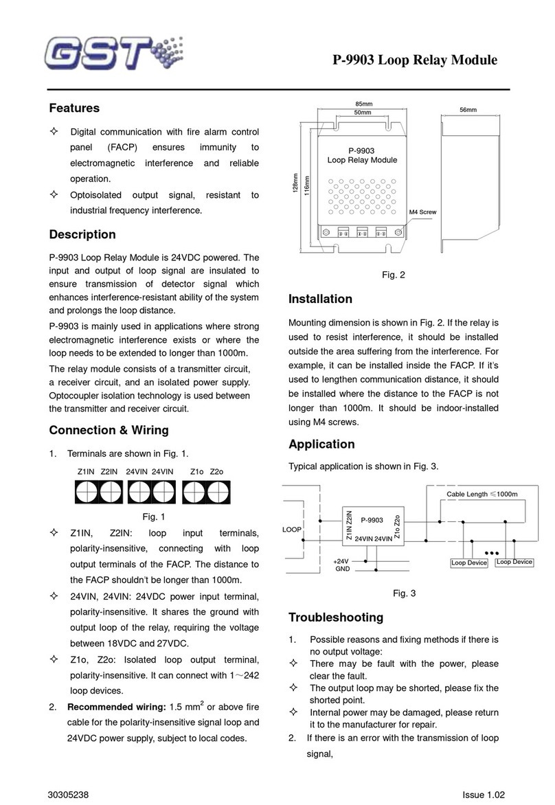 GST P-9903 User manual