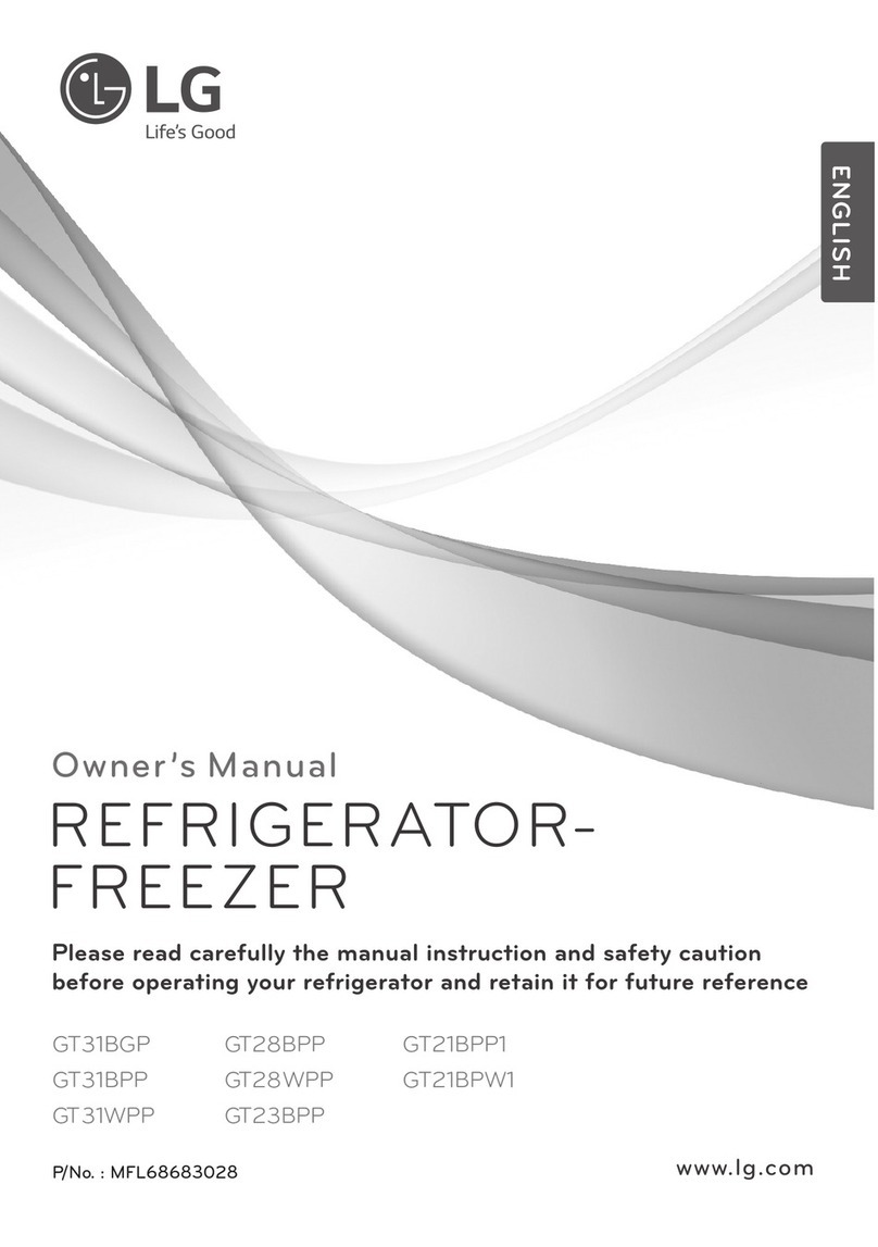 LG GT31WPP User manual