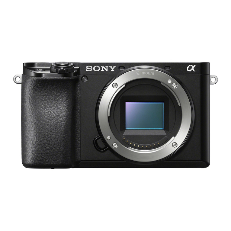 Sony Alpha 6100 User manual