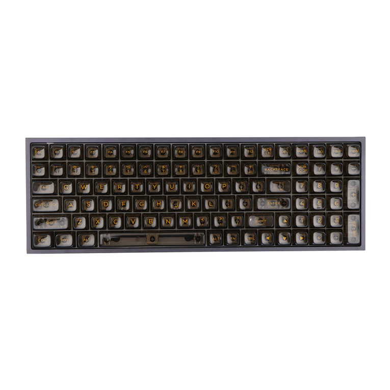 Epomaker TH100 User manual