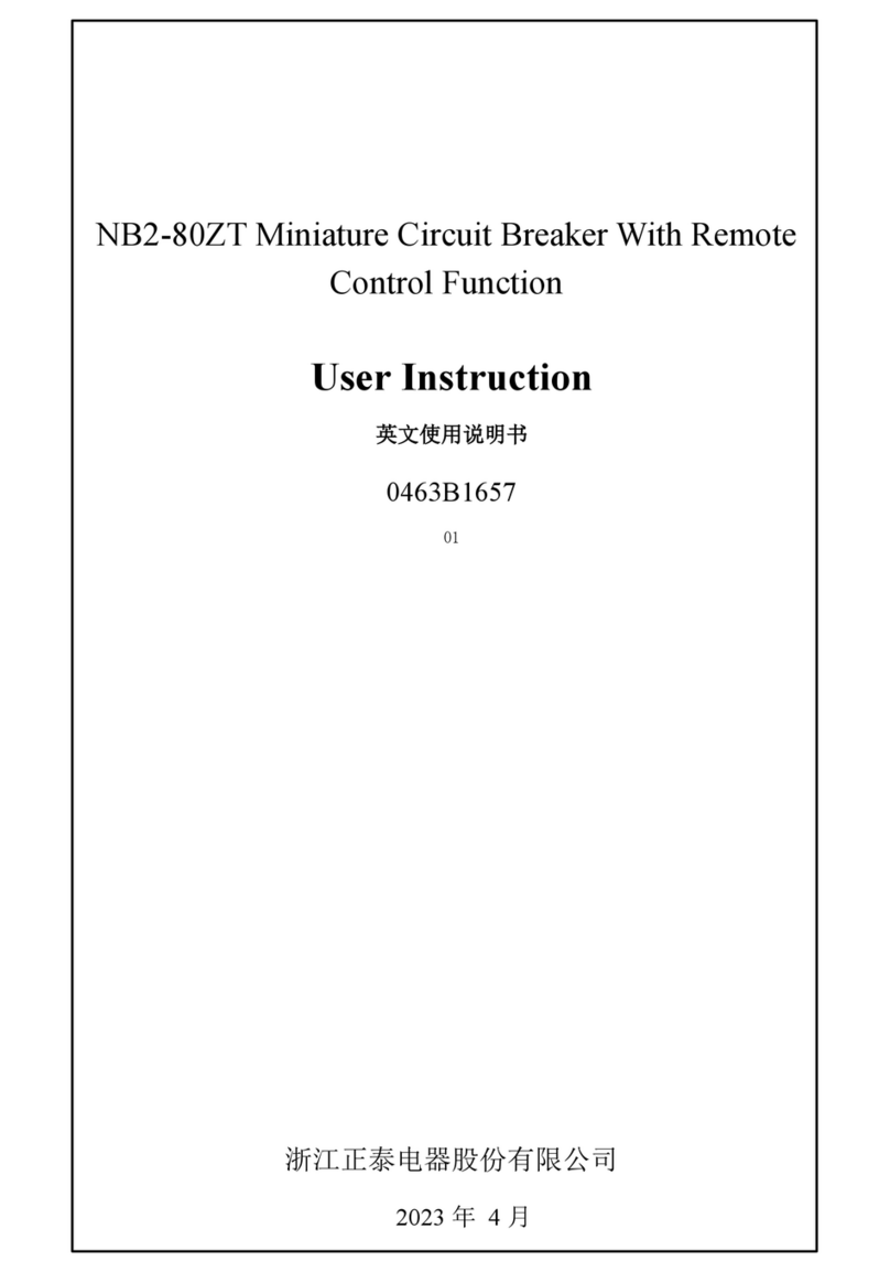 CHINT NB2-80ZT Installation instructions