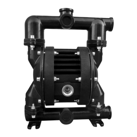 ALPHA DYNAMIC PUMPS Ruby 051 User manual