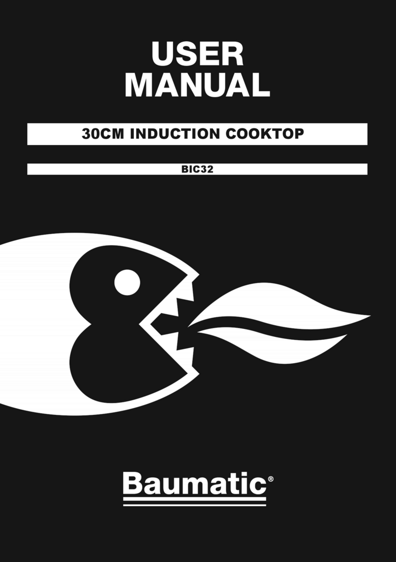 Baumatic BIC32 User manual
