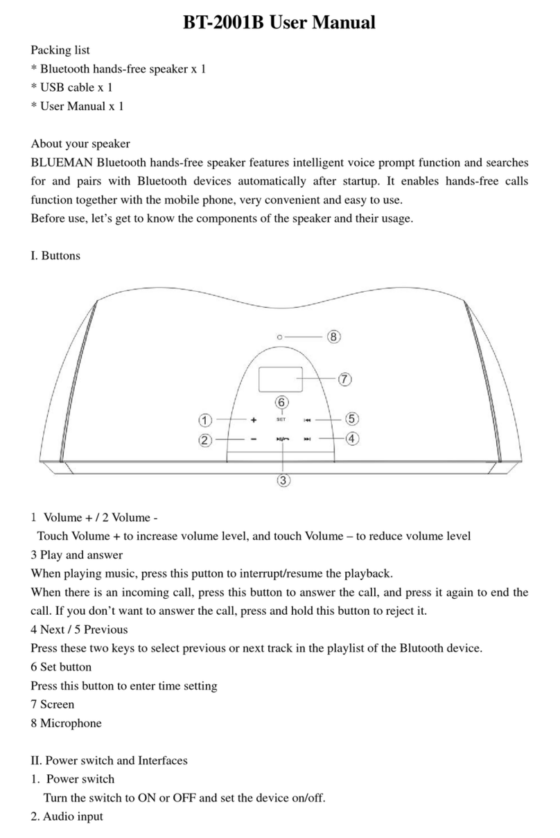 BLUEMAN BT-2001B User manual