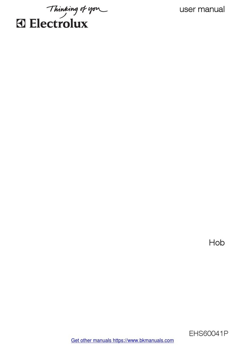 Electrolux EHS 60041 P User manual