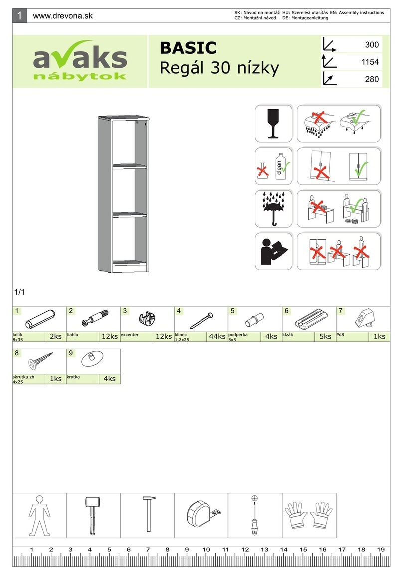 avaks BASIC User manual